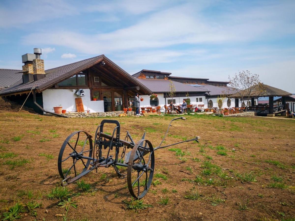 Ferma Dacilor Hotell Tohani Exteriör bild